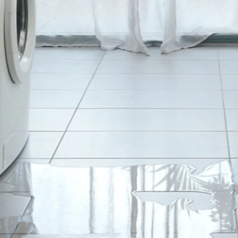 Appliance Leak Cleanup in East Moline, IL