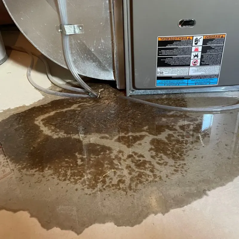 Pipe Burst and Leak Restoration in East Moline, IL