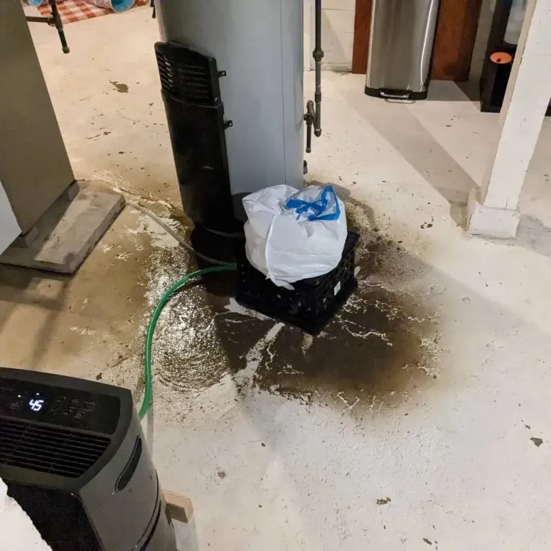Sewage Backup Cleanup Service in East Moline, IL